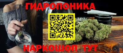 a pvp Сланцы