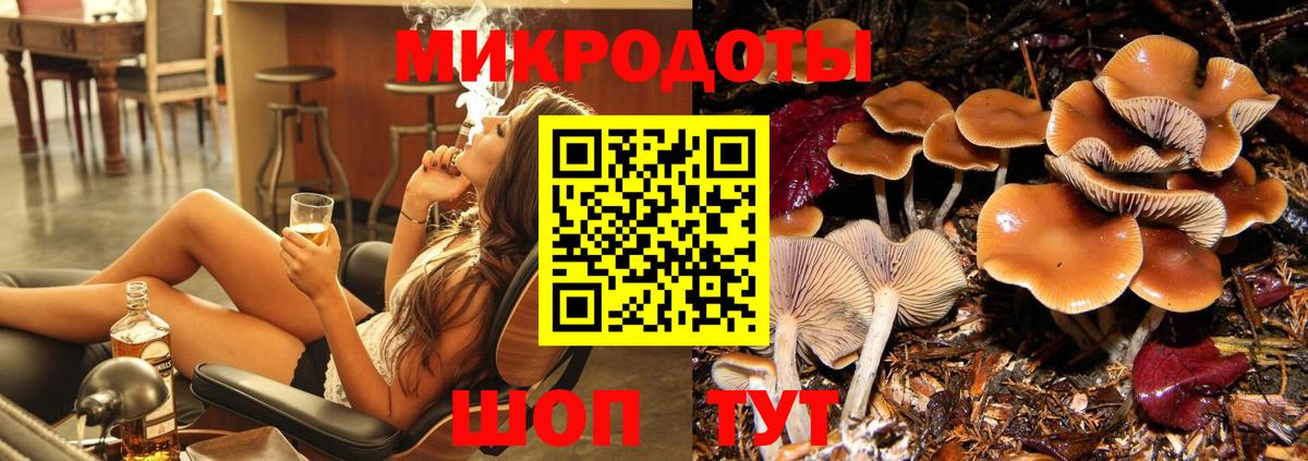 Галлюциногенные грибы Psilocybine cubensis  Вход с VPN  Псилоцибиновые грибы GOLDEN TEACHER  Нурлат 