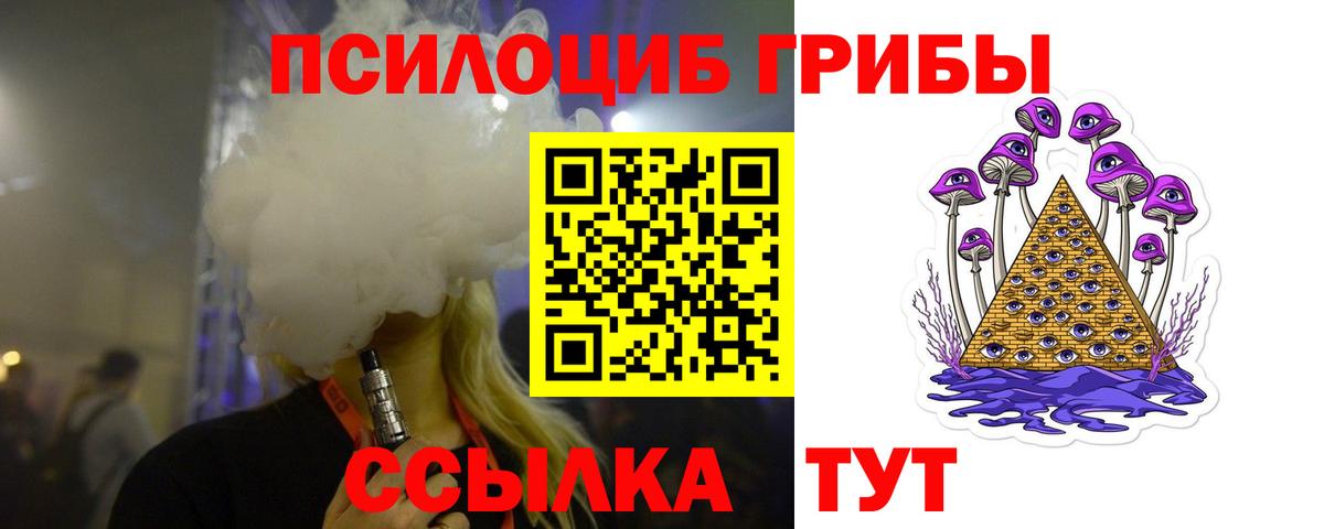 Псилоцибиновые грибы Psilocybe Нурлат